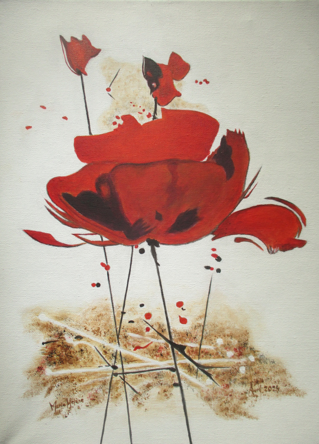 Coquelicots contemporains